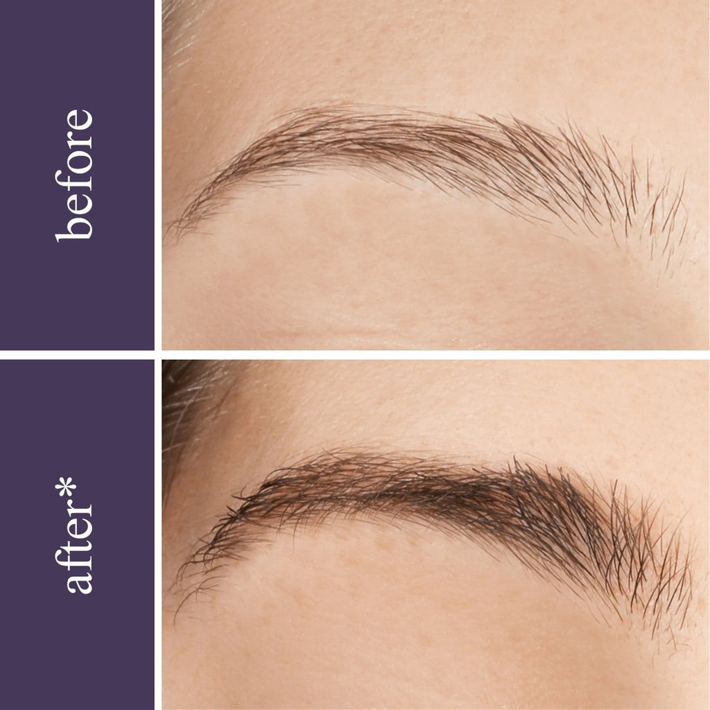Lash & Brow Wonder Bundle