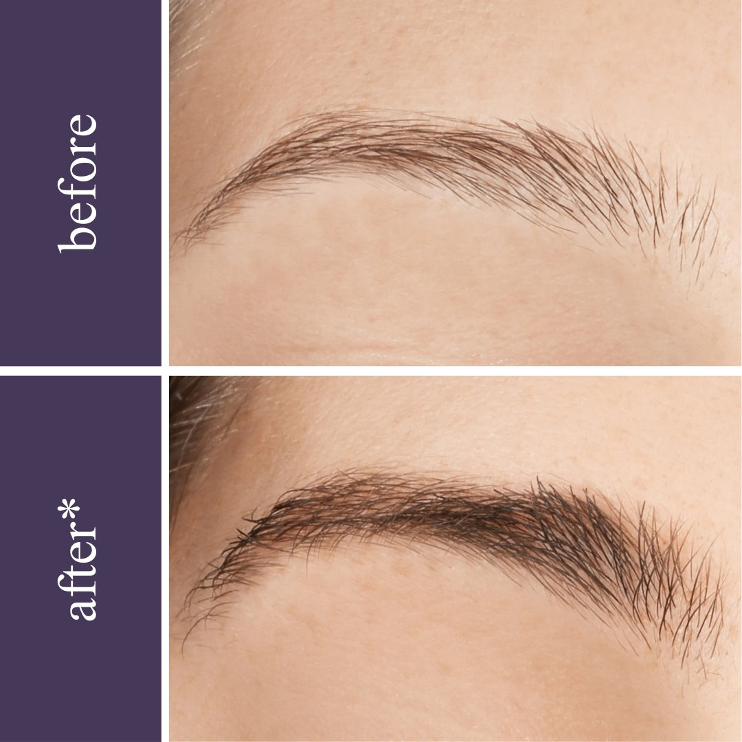 Lash & Brow Wonder Bundle